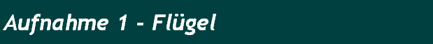 Aufnahme 1 - Flgel